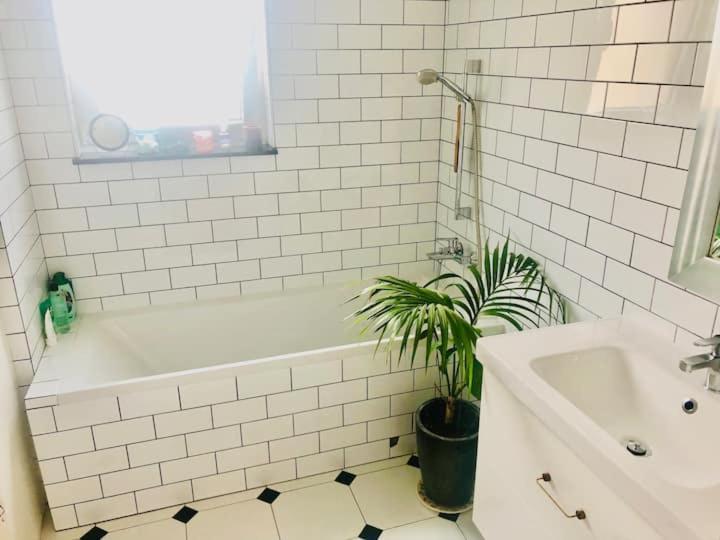 Stylowy Apartament W Centrum Miasta Bydgoszcz Eksteriør bilde